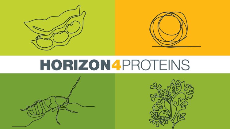 Horizon4Proteins Cluster