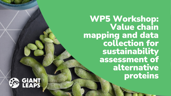 WP5 Workshop