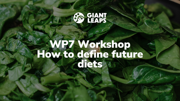 WP7 Workshop