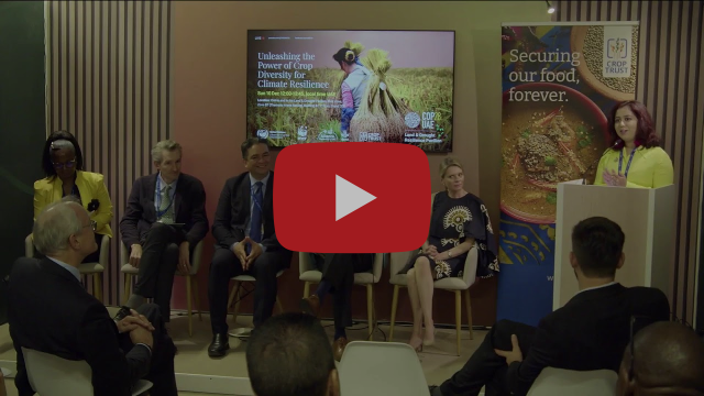 Webinar - Dr Ruoxuan Deng