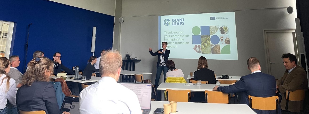 GIANT LEAPS Stakeholder Board Meeting