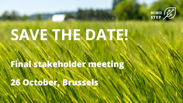 MIND STEP final stakeholder meeting - SAVE THE DATE!